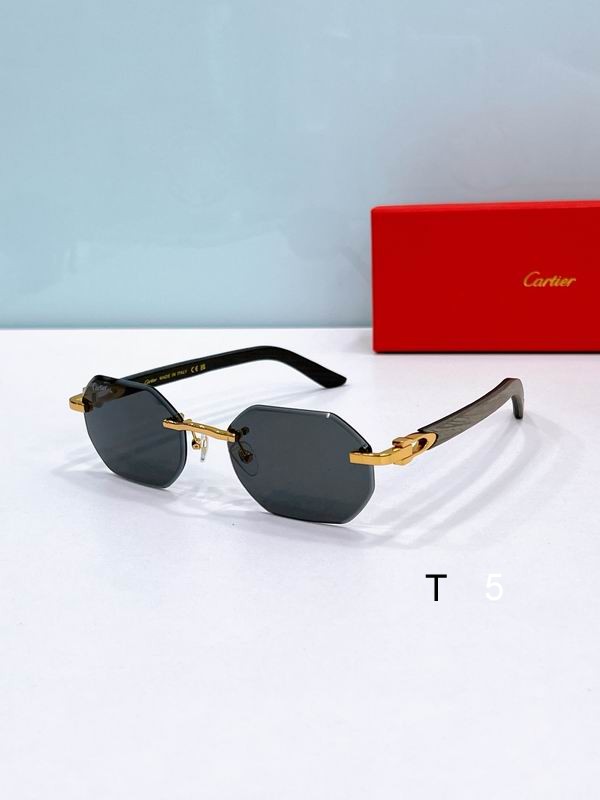 Cartier CT0439S 54 19-145 F
